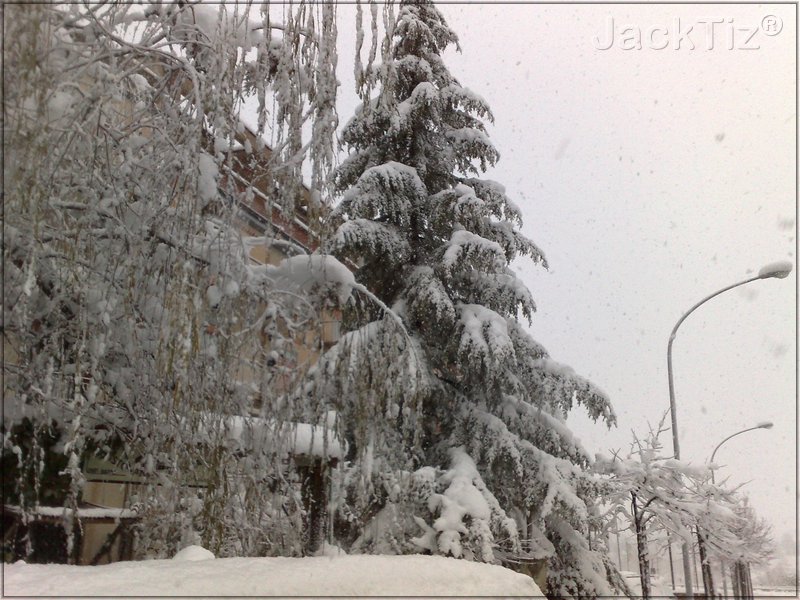 JackTiz� - Copyright
17.27 gioved� 12 febbraio 2009