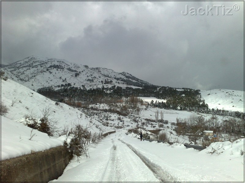JackTiz� - Copyright
15.02 domenica 15 febbraio 2009