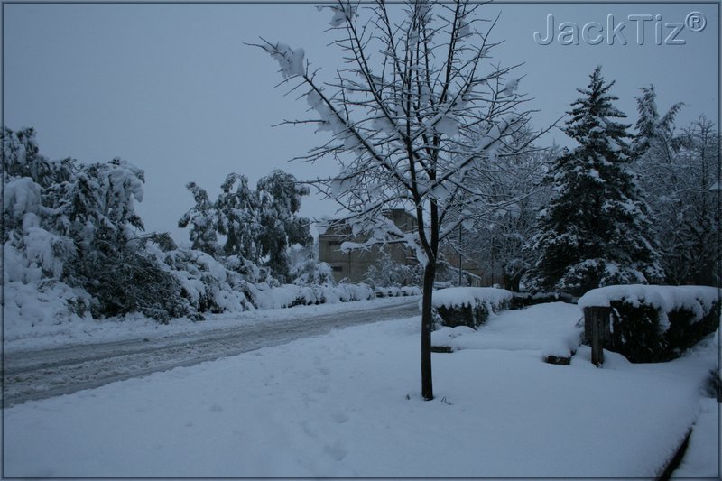 JackTiz� - Copyright
18.30 gioved� 12 febbraio 2009