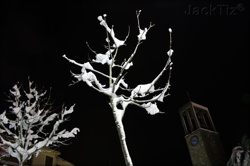 JackTiz� - Copyright
0.24 venerd� 13 febbraio 2009