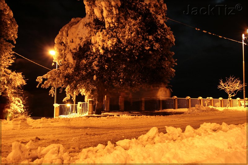 JackTiz� - Copyright
0.47 venerd� 13 febbraio 2009