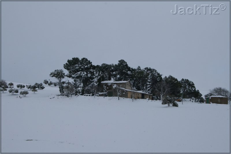 JackTiz� - Copyright
16.26 venerd� 13 febbraio 2009