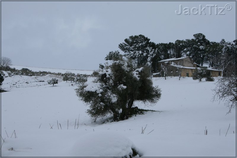 JackTiz� - Copyright
16.26 venerd� 13 febbraio 2009