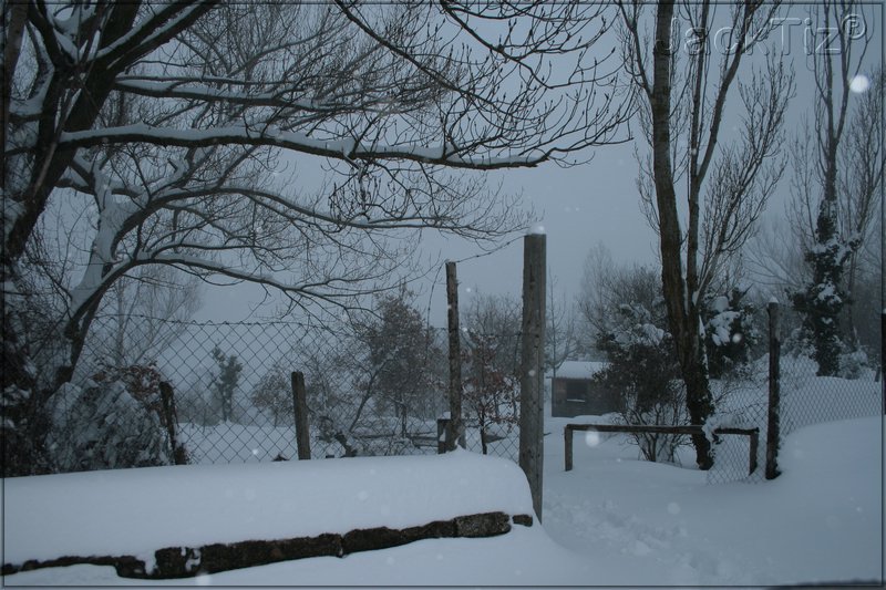 JackTiz� - Copyright
17.15 venerd� 13 febbraio 2009
