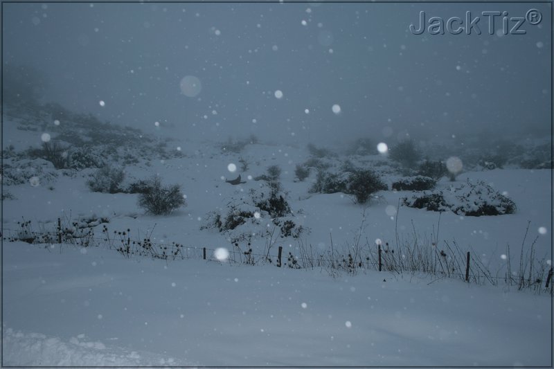 JackTiz� - Copyright
17.17 venerd� 13 febbraio 2009