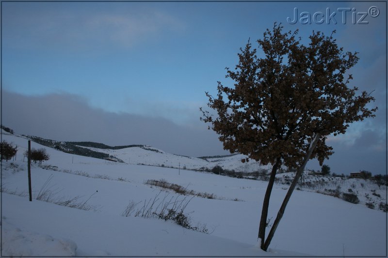 JackTiz� - Copyright
17.27 venerd� 13 febbraio 2009