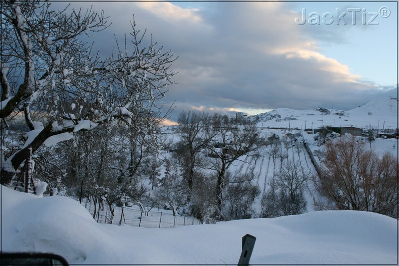 JackTiz� - Copyright
17.18 sabato 14 febbraio 2009